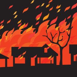 Bushfire Reality Forum