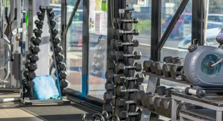 Exercise physiology | physiologist | fitness