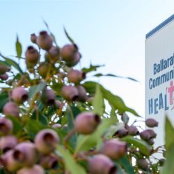 Ballarat Community Health