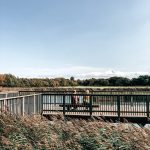 two people on a park bench beside a lake in the sunshine