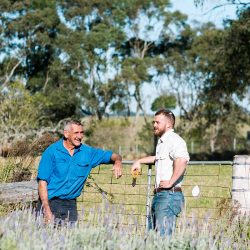 the community resilience and recovery program
